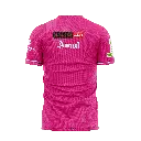 Pink Jersey Back.webp